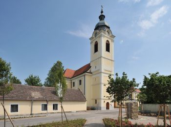 Excursión A pie Gemeinde Biedermannsdorf - Runnersfun Runde - Photo