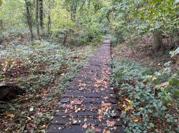 Tocht Stappen Lubbeek - Lubbeek 19,7 km - Photo