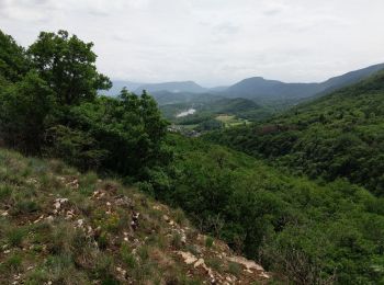 Tour Mountainbike Innimond - Descente sur Saint Germain - Photo