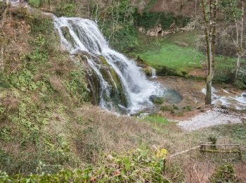 Tour Zu Fuß Muret-le-Château - Terra Trail 9 - Photo