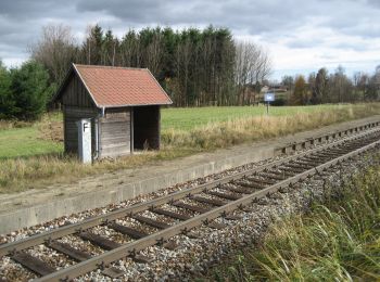 Excursión A pie Schwarzenau - Von den Fuchshöhlen bis zur Wolfsgrube - Photo