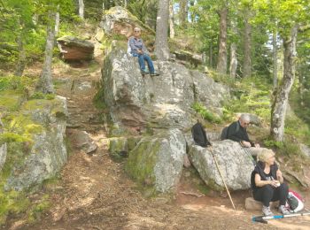 Randonnée Marche Saulcy-sur-Meurthe - Massif du KEMBERG - Photo