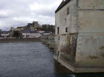 Tour Wandern Saint-Georges-sur-Cher - 2015 10 18 - Saint-Georges-sur-Cher - Montrichard - boucle - Photo