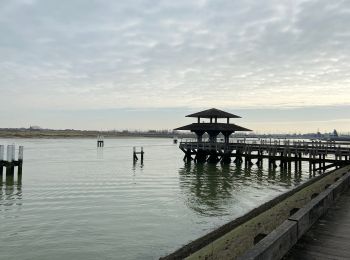 Excursión Senderismo Nieuwpoort - Niewport - Photo