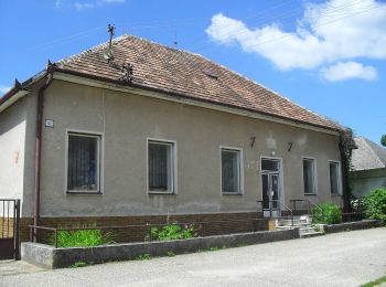 Excursión A pie okres Nové Zámky - Naúčný chodník Strekov - Svodín - Photo