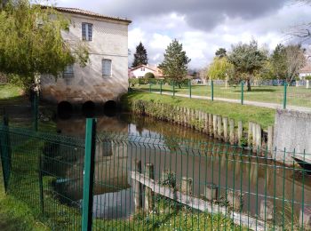 Trail Walking Mérignac - Merignac  - Photo