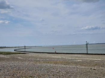 Trail Hybrid bike Cayeux-sur-Mer - Cayeux -Le Crotoy - Photo