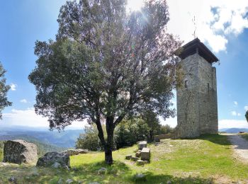 Trail On foot Vernon - Vernon: La Tour de Brison. 20km - Photo