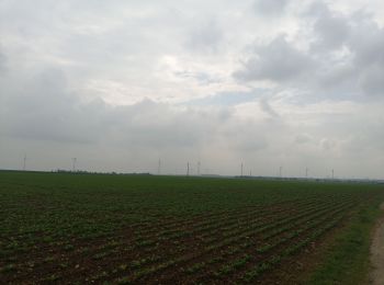 Randonnée V.T.T. Caen - sortie dans les marais de vimont  - Photo