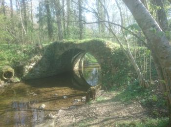 Tour Wandern Bois-le-Roi - bois le roi -fontaine le port -13 avril 2021 la  - Photo