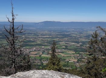 Trail Walking Cruseilles - saleve 21 05 20 - Photo