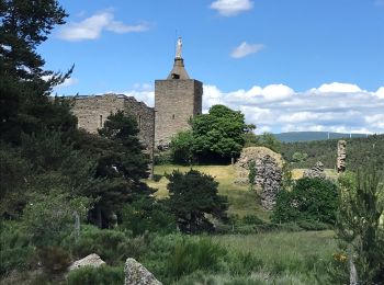 Randonnée Marche Cheylard-l'Évêque - Le Cheylard la Veyrune - Photo