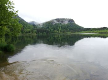 Randonnée Marche Bonlieu - Lac de bonlieu - Photo