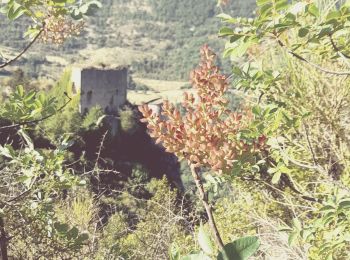 Randonnée Marche Buis-les-Baronnies - BruBer-Buis/La Roche - Photo