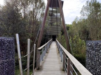 Randonnée Marche Martelange - Promenade des souvenirs en passant par la passerelle des oiseaux  - Photo