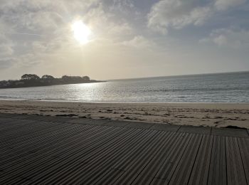 Excursión Senderismo Île-Tudy - Île Tudy / Casino Benodet - Photo