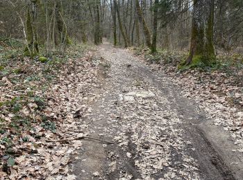 Percorso Marcia Sillingy - Montagne d’âge par le bord côté NONGLARD - Photo