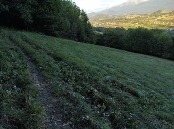 Tour Mountainbike Champagnier - petit tour champagnier  - Photo