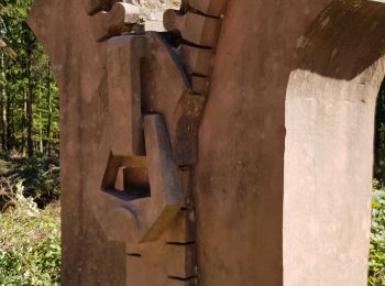 Tocht Stappen Walscheid - rocher Mutzig séquoia  - Photo