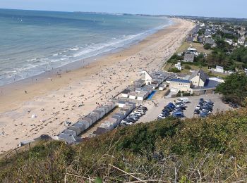 Randonnée Marche Carolles - Carolle-plage--Cabane Vauban - Photo