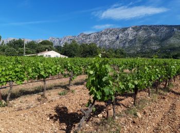 Trail Walking Puyloubier - Ste Victoire sud-03-06-21 - Photo