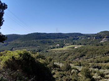 Excursión Bici de montaña Velaux - 2e sortie  - Photo