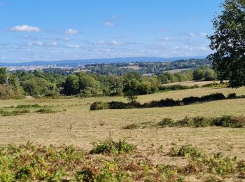 Tocht Stappen Jourgnac - puy de banneix  - Photo