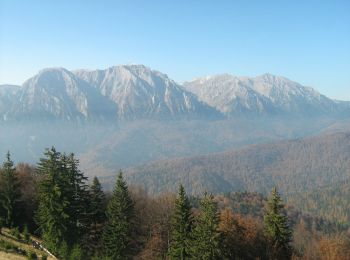 Randonnée A pied  - Azuga - Piciorul Sorica - Telegondola Azuga - Photo