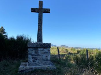 Trail Walking Les Vastres - Les Vastres - Photo