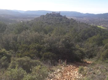 Excursión Senderismo Rocbaron - le castellas - Photo