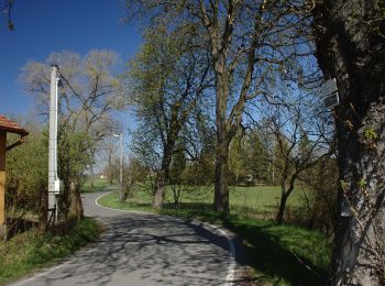 Randonnée A pied Jistebnice - [Č] Padařov - Brtný - Photo