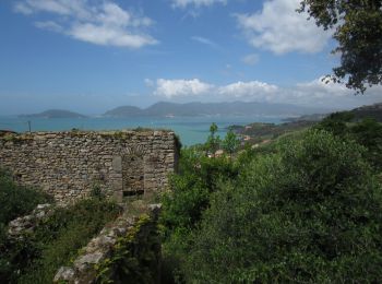 Percorso Marcia Lerici - Promenade au dessus du golfe des poètes - Photo