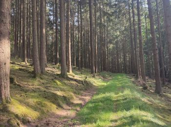 Trail Walking Weinsheim - Weinsheim  - Photo