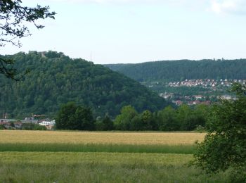 Randonnée A pied Nagold - Alte Poststraße Nagold und Umgebung - Photo