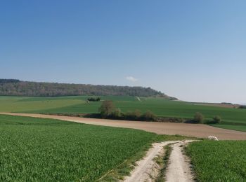 Randonnée Marche Mesnières-en-Bray - mesnieres croixdalle - Photo