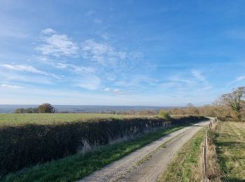 Tocht Mountainbike Estivareilles - les brandes de mirebeau - Photo