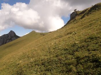 Trail Walking Doucy-en-Bauges - la dent des portes ... près du trelod, dans le massif des Bauges  - Photo