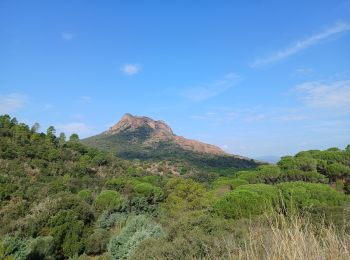 Randonnée Marche Roquebrune-sur-Argens - Circuit de l'eau Les Cavalières, La Maurette - Photo