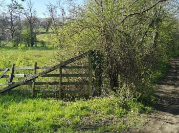 Randonnée Marche Baron-sur-Odon - Baron-sur-Odon - Mouen - Tourville-sur-Odon 10,1 km - Photo