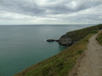 Excursión A pie Desconocido - Howth Cliff Path Loop - Photo