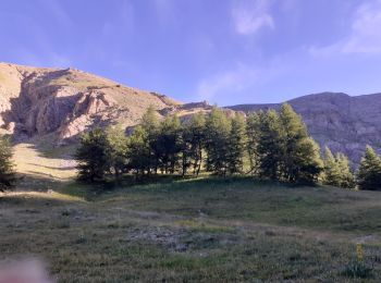 Trail Walking Allos - Mont Pelat-Lac du Trou de l'Aigle-Tour du Lac d'Allos - Photo