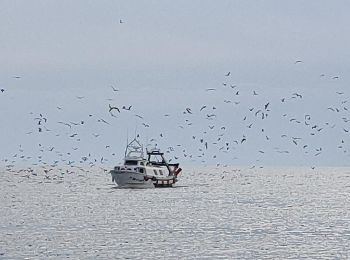 Randonnée Marche Vélez-Málaga - Wikiloc - Caleta de Vélez - Photo