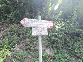 Tour Zu Fuß Val Brembilla - Sentiero 592: Ponti di S. Antonio - Roccoli Spadì, Strada Taverna - Photo