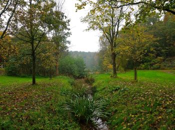 Excursión A pie Bad Helmstedt - Lappwald Rundwanderweg 4 - Photo