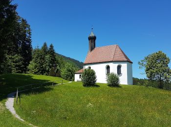 Percorso A piedi Wackersberg - Wanderweg 460 - Isarwinkel - Photo