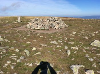 Tour Wandern Mont Lozère et Goulet - Le Finiels - Photo