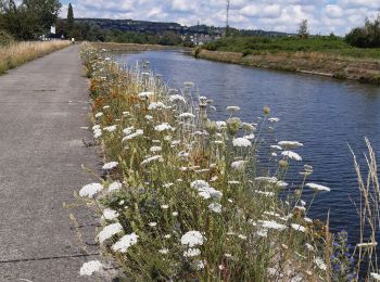 Randonnée Vélo électrique Namur - Namur Sambre et Meuse - Photo