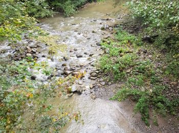 Randonnée Marche Menthonnex-en-Bornes - Massif des Bornes_04-10-2020 - Photo