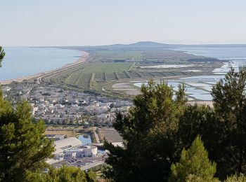 Randonnée V.T.C. Sète - Ballade autour du Mont Saint-Clair - Photo