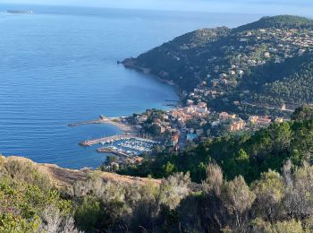 Randonnée Marche Théoule-sur-Mer - Theoule - Photo